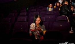 爱就看电影院在线观看,跟随根据爱就看感受电影魅力